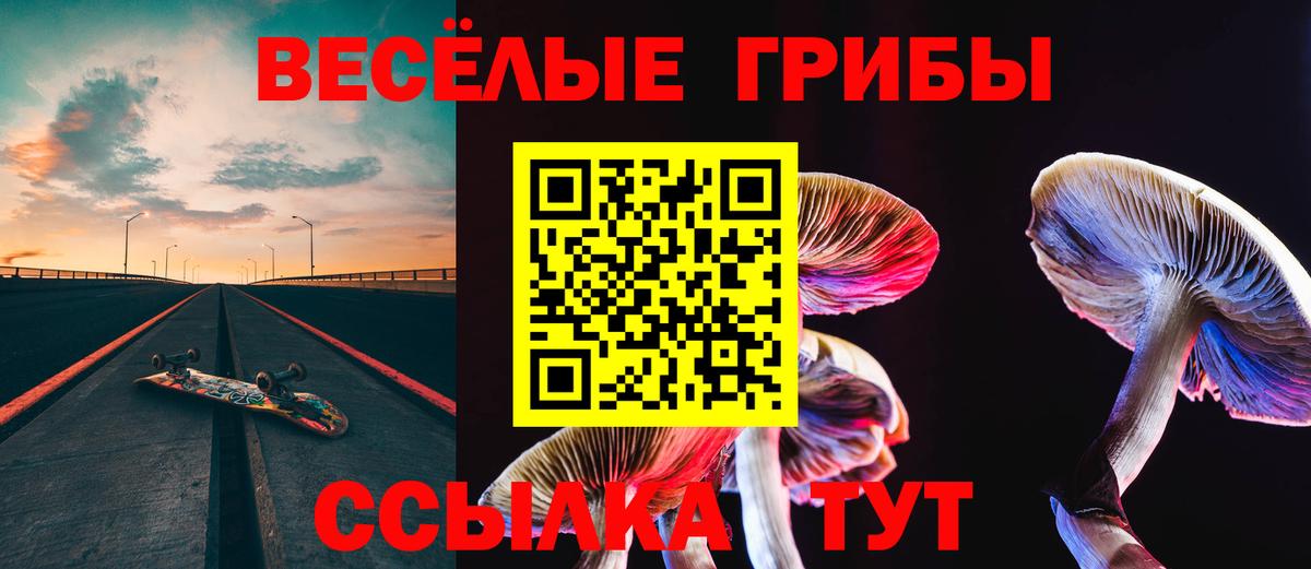 Псилоцибиновые грибы Cubensis Волжск